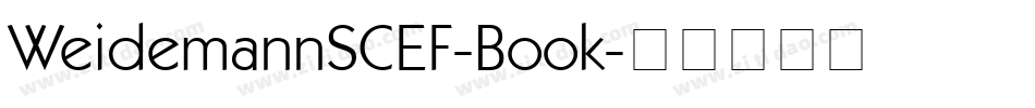 WeidemannSCEF-Book字体转换