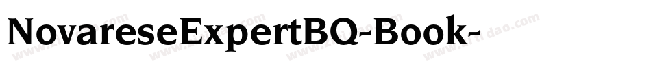 NovareseExpertBQ-Book字体转换