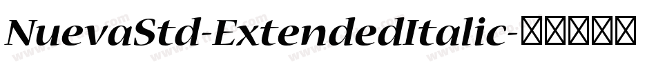 NuevaStd-ExtendedItalic字体转换