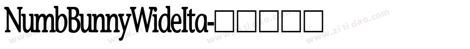 NumbBunnyWideIta字体转换