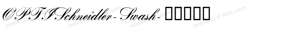 OPTISchneidler-Swash字体转换