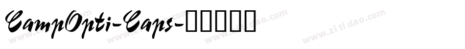 CampOpti-Caps字体转换