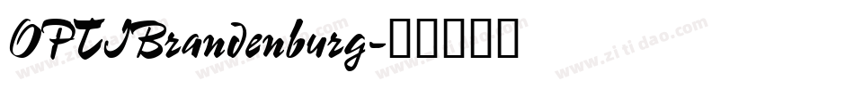 OPTIBrandenburg字体转换