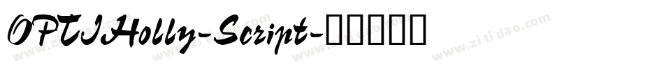 OPTIHolly-Script字体转换