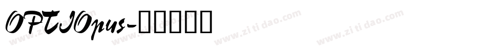 OPTIOpus字体转换