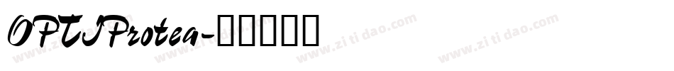 OPTIProtea字体转换