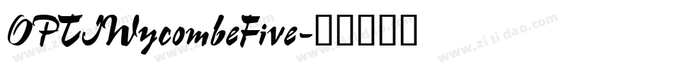 OPTIWycombeFive字体转换