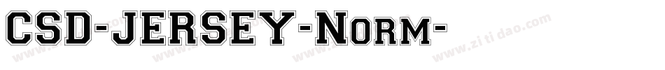 CSD-JERSEY-Norm字体转换