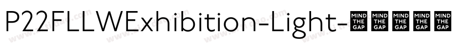 P22FLLWExhibition-Light字体转换
