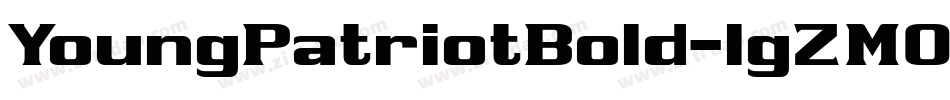 YoungPatriotBold-lgZM0字体转换