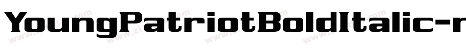 YoungPatriotBoldItalic-nRx20字体转换