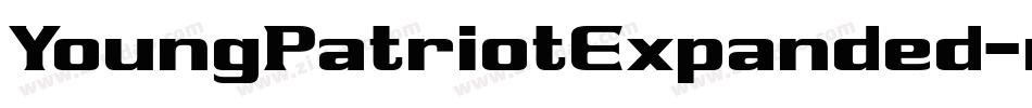 YoungPatriotExpanded-rg2yL字体转换