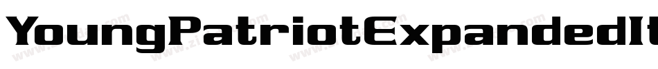 YoungPatriotExpandedItalic-MVY2n字体转换