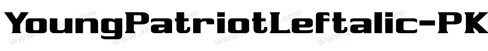 YoungPatriotLeftalic-PK7PZ字体转换