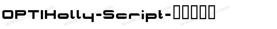 OPTIHolly-Script字体转换