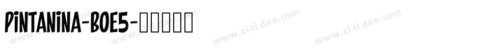Pintanina-BoE5字体转换 Pintanina-BoE5字体转换