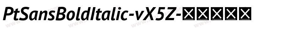 PtSansBoldItalic-vX5Z字体转换