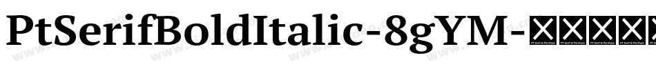PtSerifBoldItalic-8gYM字体转换