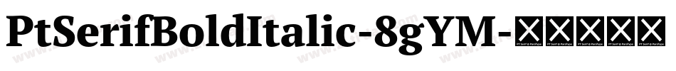 PtSerifBoldItalic-8gYM字体转换