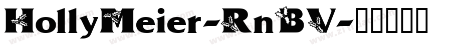 HollyMeier-RnBV字体转换