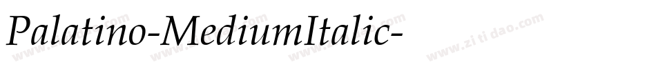 Palatino-MediumItalic字体转换