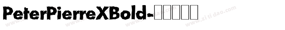PeterPierreXBold字体转换