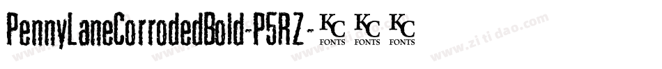 PennyLaneCorrodedBold-P5RZ字体转换