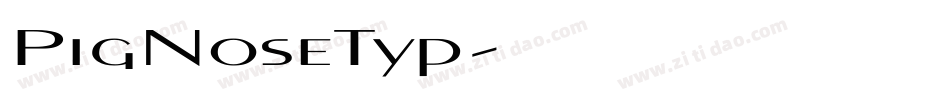 PigNoseTyp字体转换