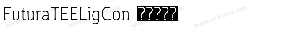 FuturaTEELigCon字体转换