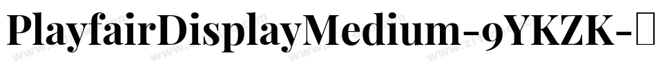 PlayfairDisplayMedium-9YKZK字体转换
