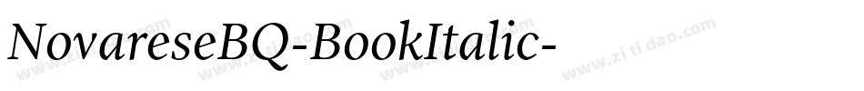 NovareseBQ-BookItalic字体转换