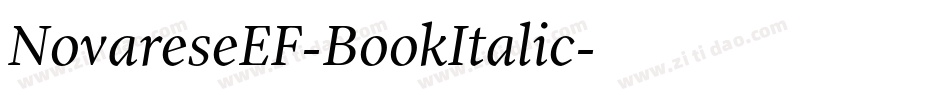 NovareseEF-BookItalic字体转换
