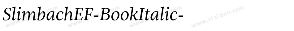 SlimbachEF-BookItalic字体转换