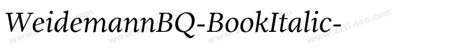 WeidemannBQ-BookItalic字体转换