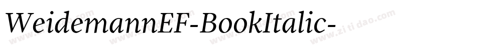WeidemannEF-BookItalic字体转换