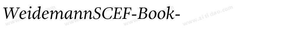 WeidemannSCEF-Book字体转换