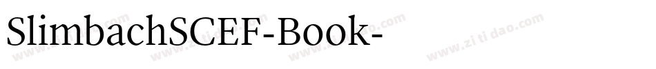 SlimbachSCEF-Book字体转换