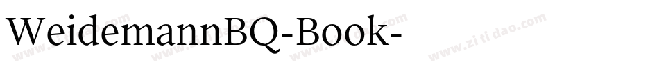 WeidemannBQ-Book字体转换
