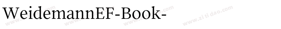 WeidemannEF-Book字体转换