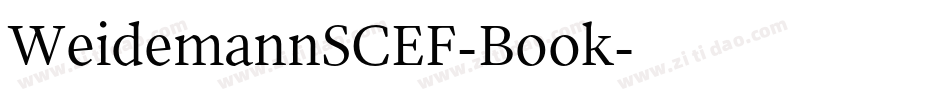 WeidemannSCEF-Book字体转换