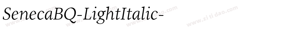 SenecaBQ-LightItalic字体转换