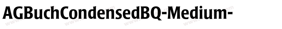 AGBuchCondensedBQ-Medium字体转换
