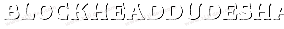 BlockheadDudeShadowPersonalRegular-L3Emy字体转换
