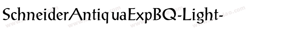 SchneiderAntiquaExpBQ-Light字体转换