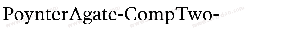 PoynterAgate-CompTwo字体转换