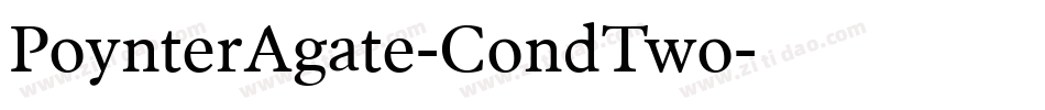 PoynterAgate-CondTwo字体转换