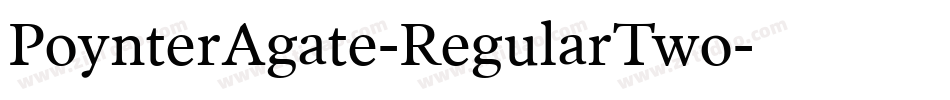 PoynterAgate-RegularTwo字体转换