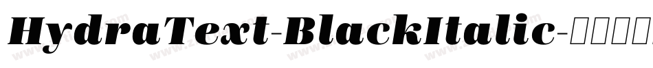 HydraText-BlackItalic字体转换
