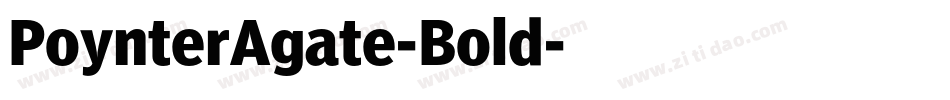 PoynterAgate-Bold字体转换