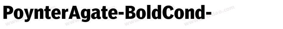 PoynterAgate-BoldCond字体转换